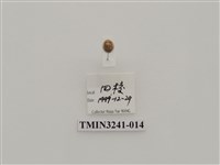 藏品(梵文菌瓢蟲)的圖片